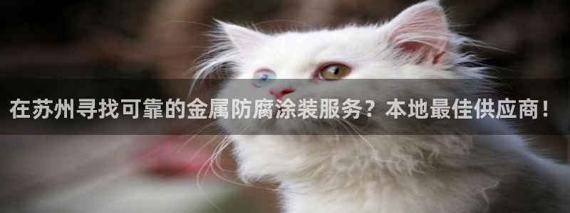 美高梅官网版是正品吗
