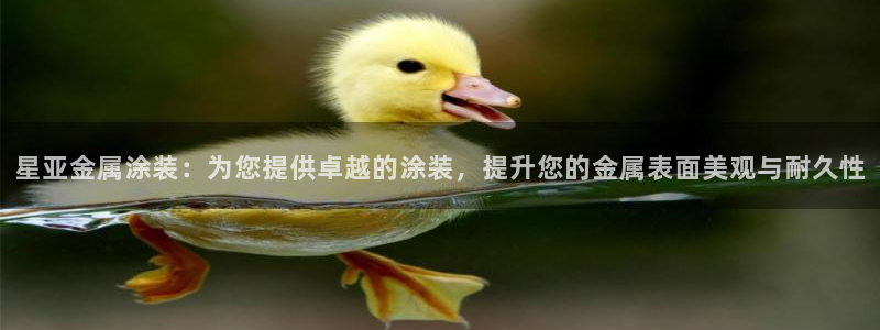 美高梅VIP音乐会