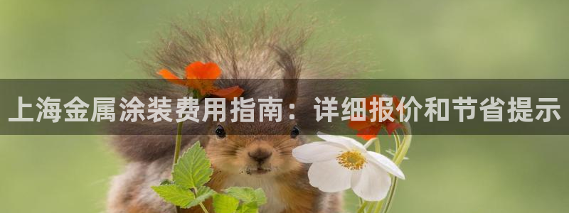 美高梅股票股价