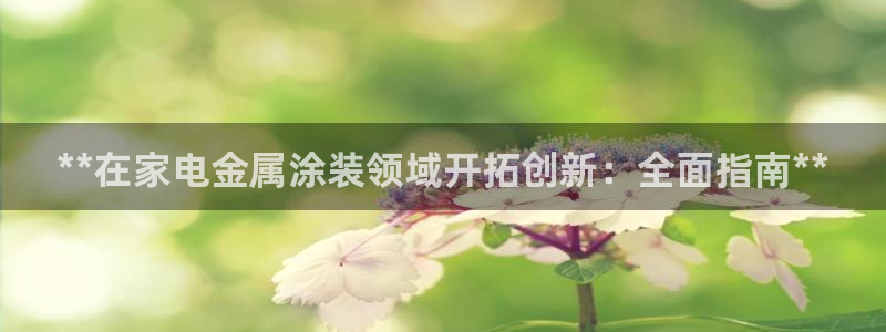 美高梅控股有限公司怎么样