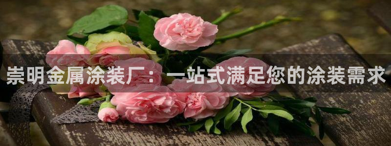 美高梅老板何超琼