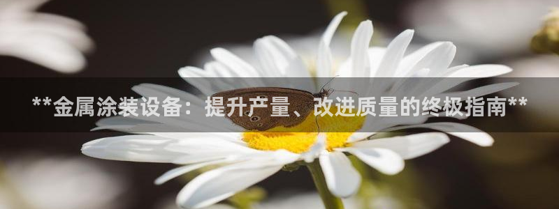 美高梅控股有限公司怎么样