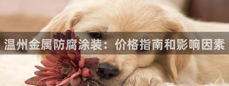 美高梅公司游戏注册网址是多少