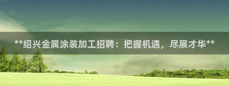 美高梅国际酒店集团介绍