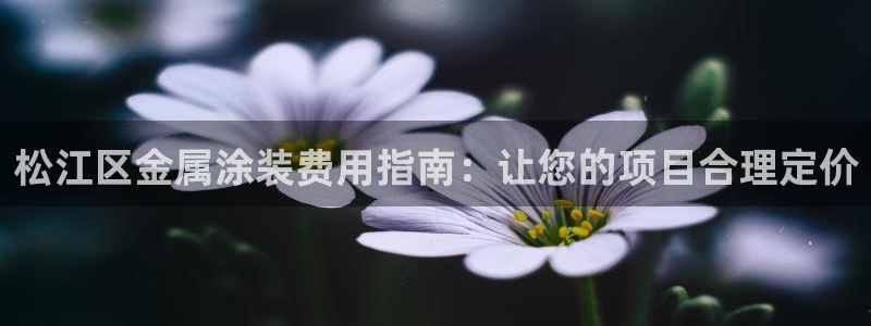 美高梅狮王卡是什么