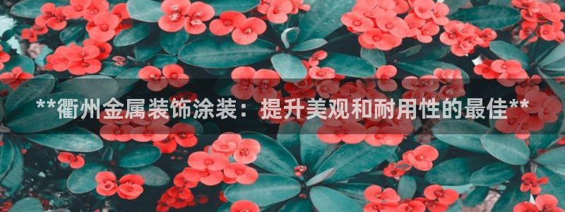 美高梅股票中国净资产多少