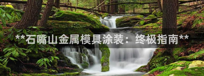 美高梅酒店用的什么洗发水