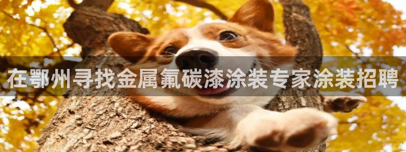 美高梅外套多少钱一件