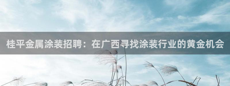 美狮美高梅酒店购物