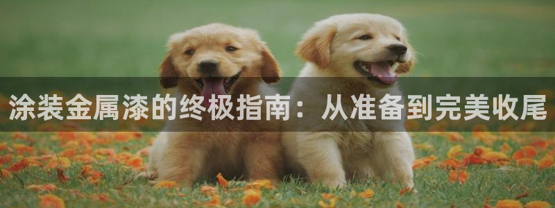 美高梅大酒店自助