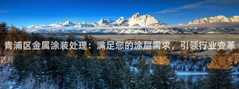 美高梅的老板是谁?