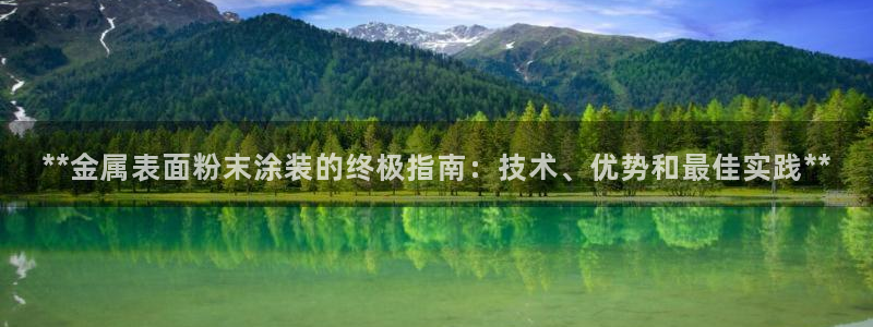美狮美高梅酒店飞鱼表演时间