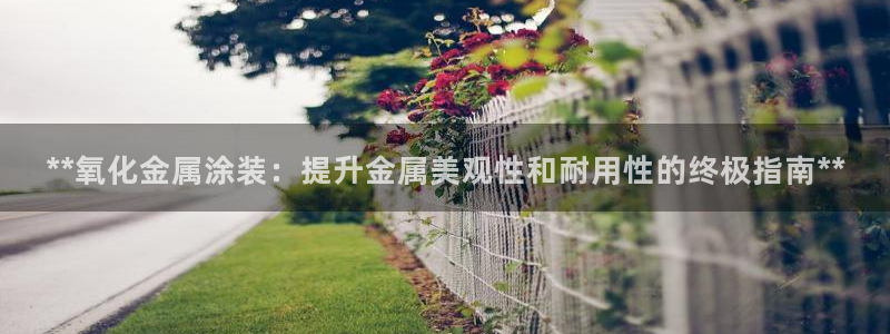 美高梅文旅