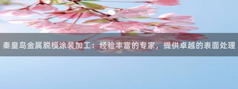 美高梅会员卡分类