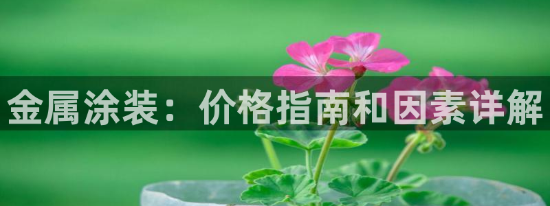 鲁能钓鱼台美高梅别墅