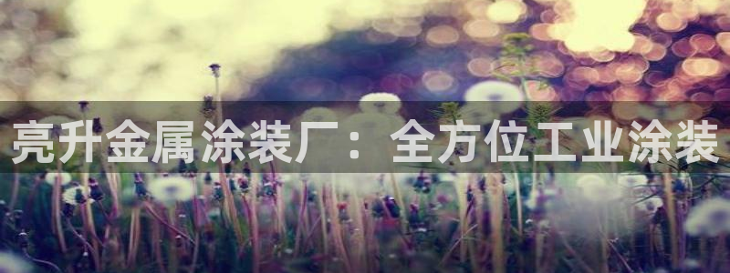 美狮美高梅酒店里的娱乐场承包出去了吗