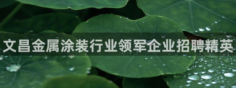 美高梅公司简介怎么写