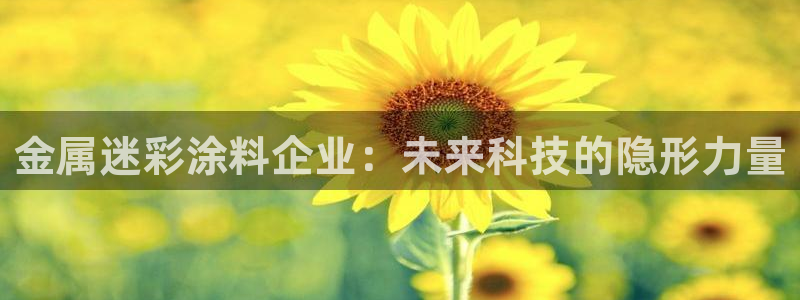 美高梅度假酒店攻略