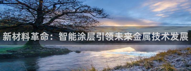 美高梅网络平台游戏靠谱吗