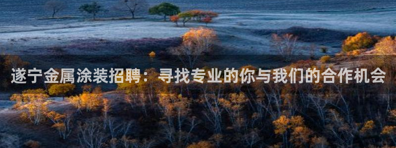 美狮美高梅酒店简介淳餐厅