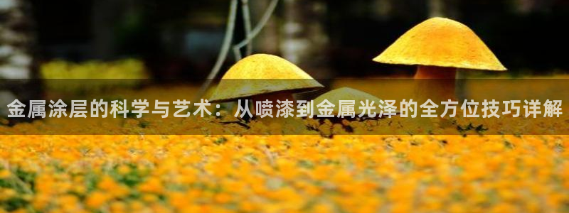 美高梅软件转钱准成吗