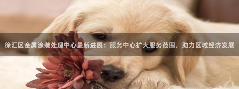 美高梅酒店哪里有
