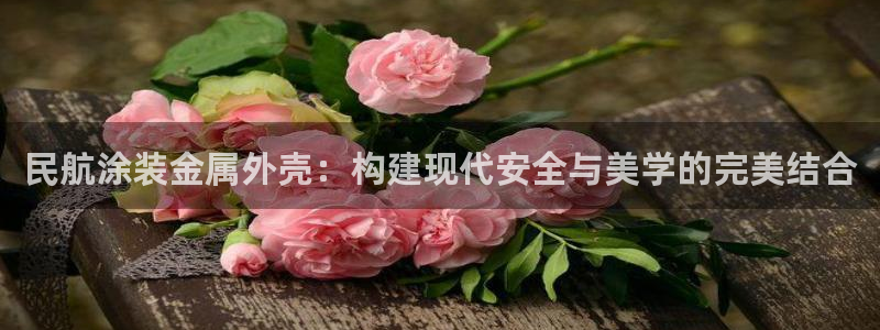 美高梅酒店是几星级：民航涂装金属外壳：构
