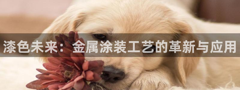 美高梅酒店拖鞋可以带走嘛：漆色未来：金属