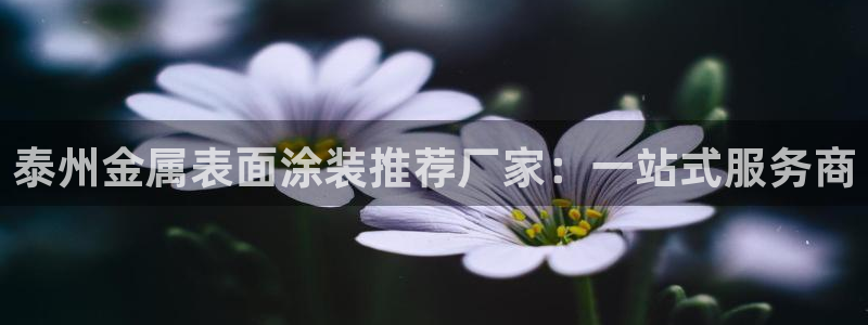 美高梅公司发展历程