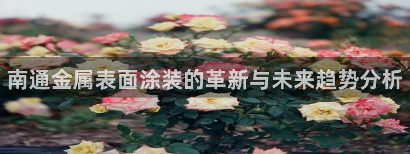 美高梅酒店可以带走的东西：南通金属表面涂