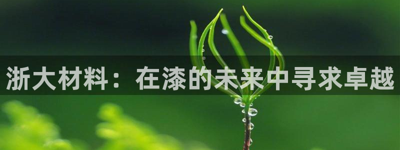 美高梅酒店管理有限公司