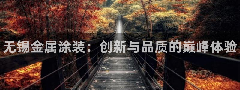 美狮美高梅和美高梅区别