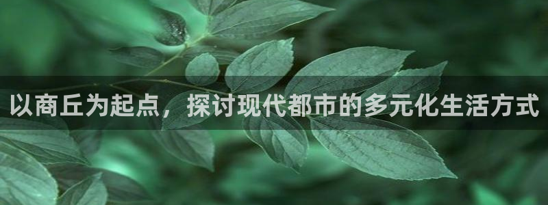 美高梅会员卡积分兑换：以商丘为起点，探讨