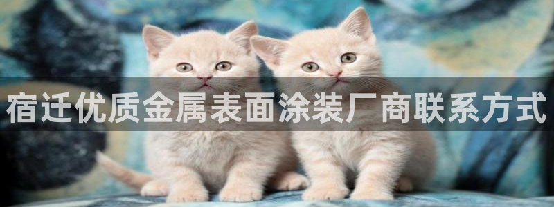 美高梅度假酒店几星级：宿迁优质金属表面涂