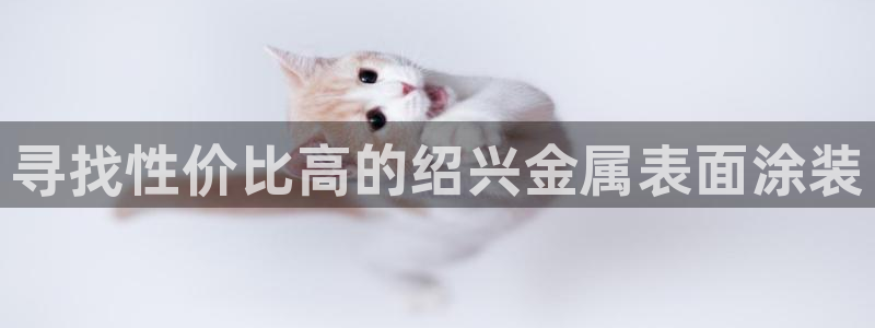 美高梅酒店如何升级