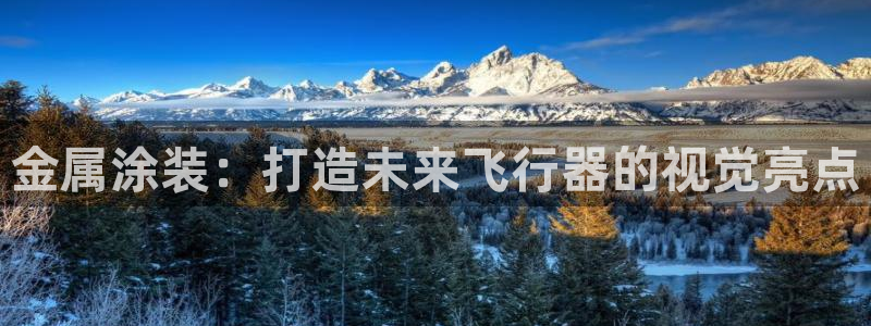 美高梅海上城堡好玩吗：金属涂装：打造未来