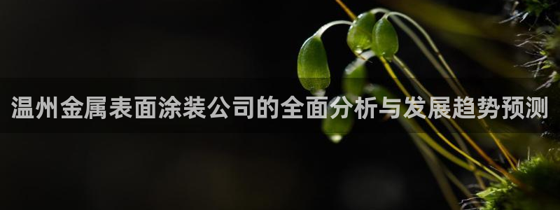 美高梅酒店何超琼为陈百强所建立