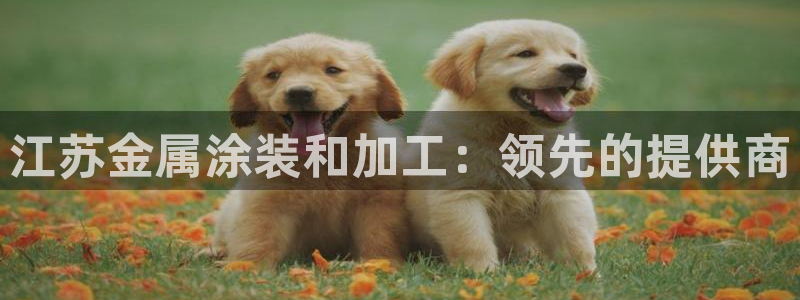 美高梅酒店预订