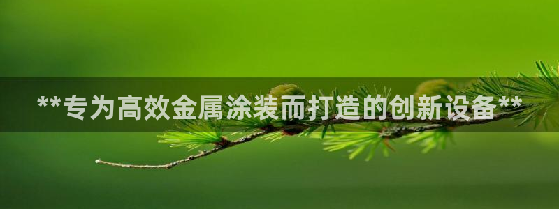 美高梅酒店拖鞋