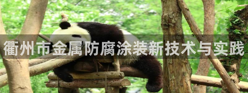 美高梅酒店外景