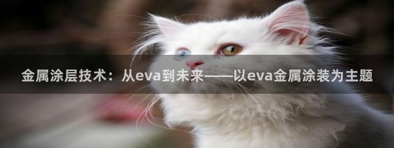 美高梅酒店是哪个集团