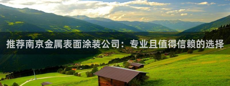 美高梅酒店标志logo：推荐南京金属表面