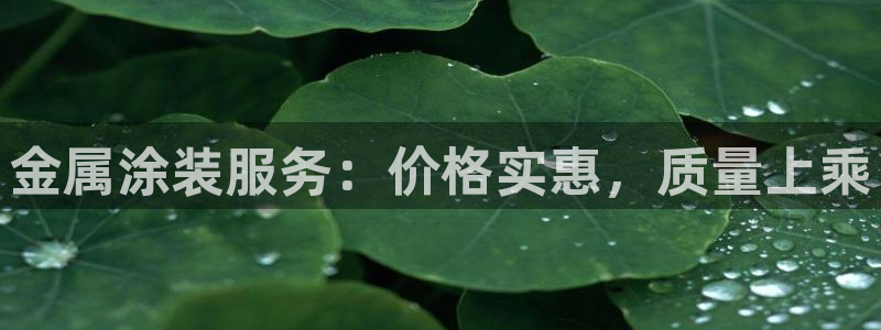 美高梅国际酒店集团和何超琼