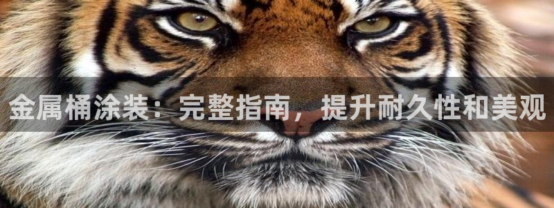 美高梅股票今天怎么了