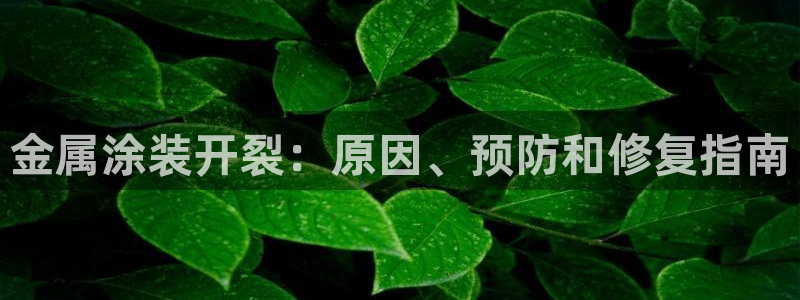 美高梅慈善晚宴