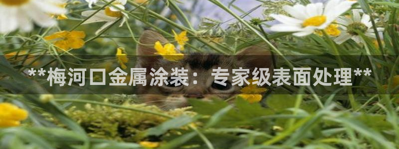 青岛美高梅属于什么档次