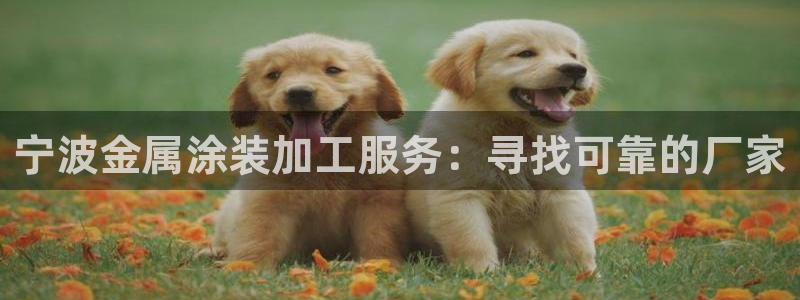 美高梅股票中国