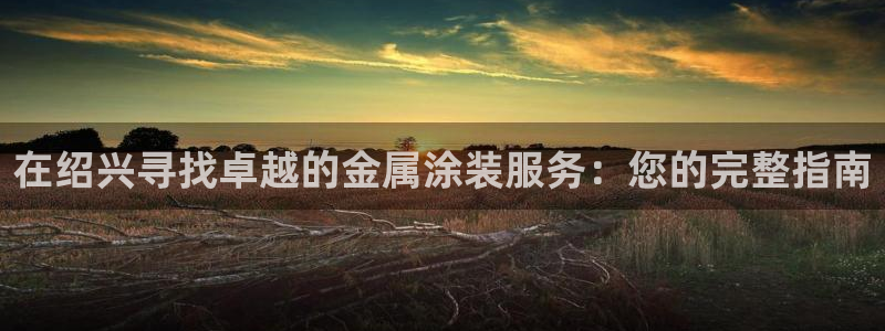 美高梅在澳门有几家分公司