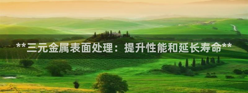 美高梅酒店上海