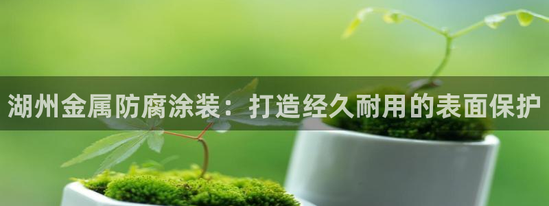 美高梅有限公司